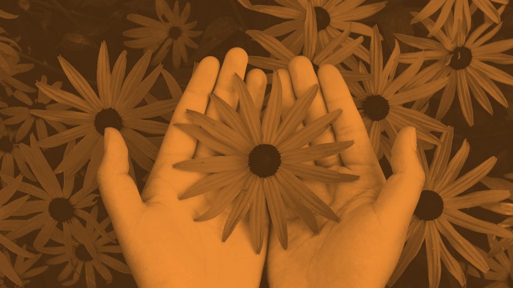 hands holding a flower with an orange/yellow tint overlaid on the entire image